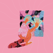 Turtles, Cats, and Other Creatures