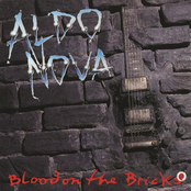 Aldo Nova: Blood On The Bricks