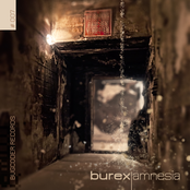Amnesia