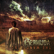 Intuitions by Bermuda