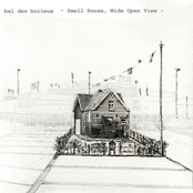 Small House, Wide Open View