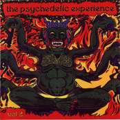The Psychedelic Experience Vol.2