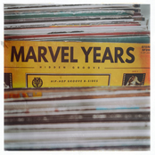 Marvel Years: Hidden Groove