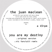 You Are My Destiny by The Juan Maclean