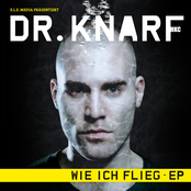 Wie Ich Flieg EP
