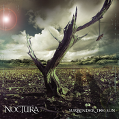 Everything by Noctura