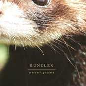 Bungler: Never Grows