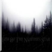 fist of the northen star