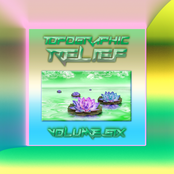 Topographic Relief Vol 6