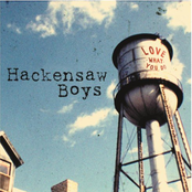 The Hackensaw Boys: Love What You Do