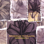 Play Off by Antennas To Heaven