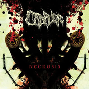 Unholy Death by Cadaver