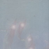 Wildlife Tapes Portal Jams