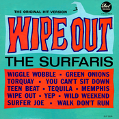 The Surfaris: Wipe Out