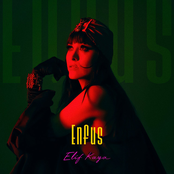 Enfus