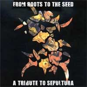 From Roots To The Seed - A Tribute To Sepultura