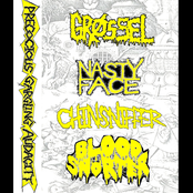 Precocious Gargling Audacity 4 way split