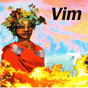 Vim