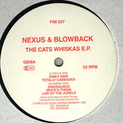 Nexus & Blowback