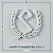 Reinforcements Vol 4