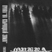 На Язычнiцкай Зямлi