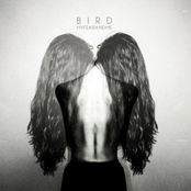 Oh My Love by Bird