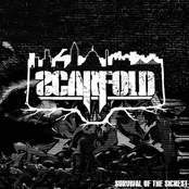 Survival of the Sickest