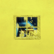 The Words Rot & Fall Away