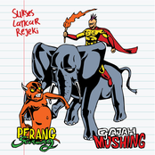 Perang Sarung Gajah Moshing