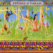 Amazonas by Strunz & Farah