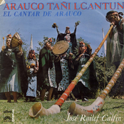 Arauco Tañi Lcantun