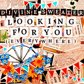 Divine Sweater: Looking for You (Everywhere)