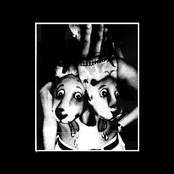 An Understanding Of Nothing