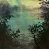 Coltsblood / Un Split