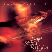 Eight String Religion by David Darling