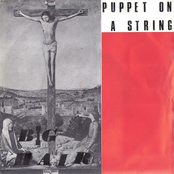 Puppet On A String by Big Hair