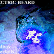 electric beard