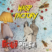 Wasp Factory