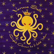 Veruca Salt: Eight Arms To Hold You