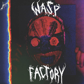 Wasp Factory: Clout Punk