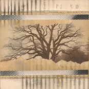 Where Once We Danced