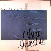 Devoted To A Memory by Choir Invisible