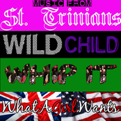 Music From St. Trinians/Wild Child/Whip It/What A Girl Wants