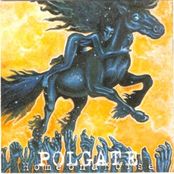 Home On A Horse (Polgate 2000)