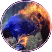 Ombra INTL 017: Destiny