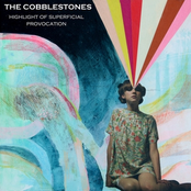 Highlight Of Superficial Provocation