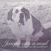 But Doesn't Eat the Small Bird - EP