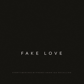 Fake Love