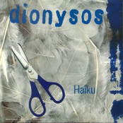 Mandarine by Dionysos