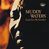 Whiskey No Good by Muddy Waters